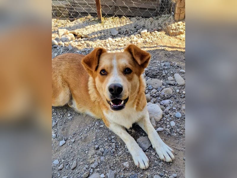 Stratos hatte noch nie ein Zuhause