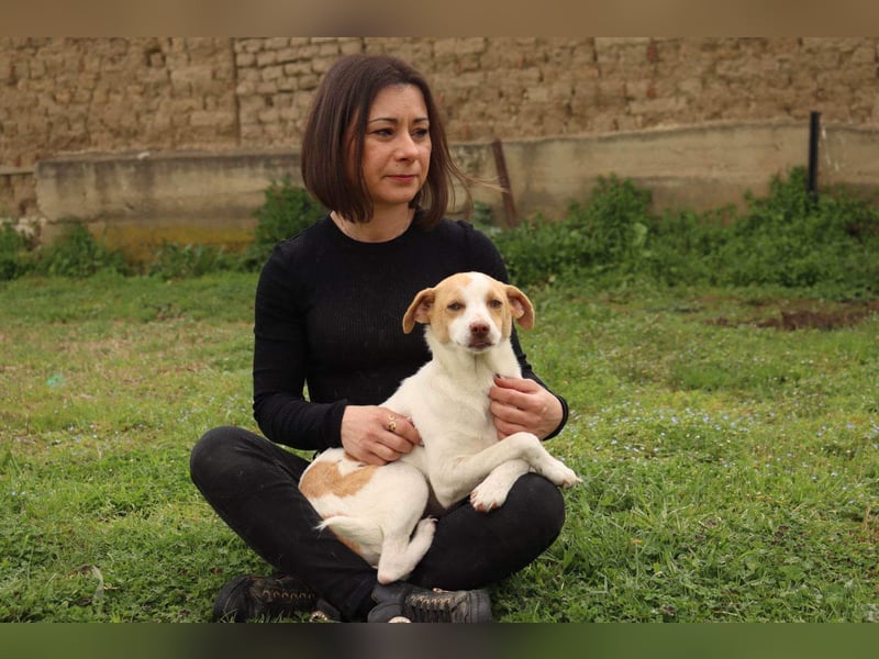 Jeimson sucht Liebe und Geborgenheit!