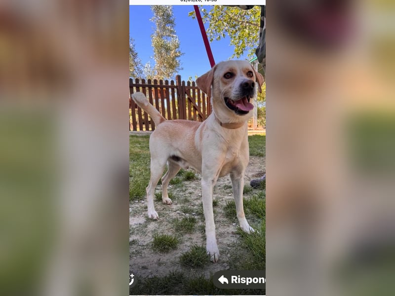 Zuhause verloren – Hoffnung gesucht: Argo