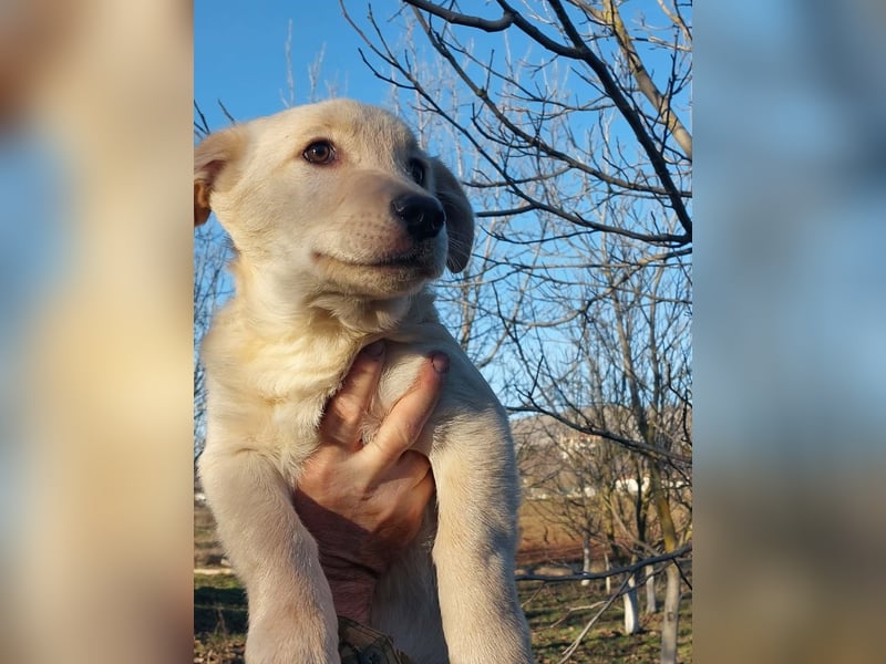 Ralph ist ein echter Schatz!