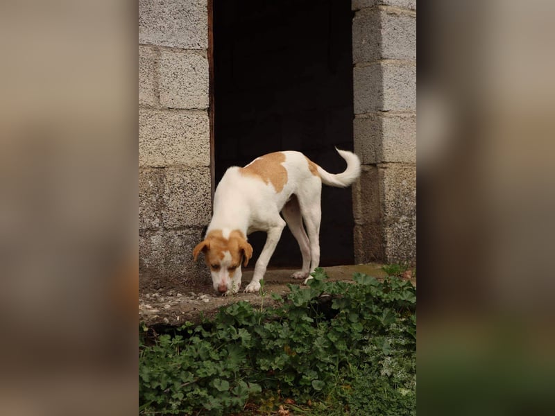 Jeimson sucht Liebe und Geborgenheit!