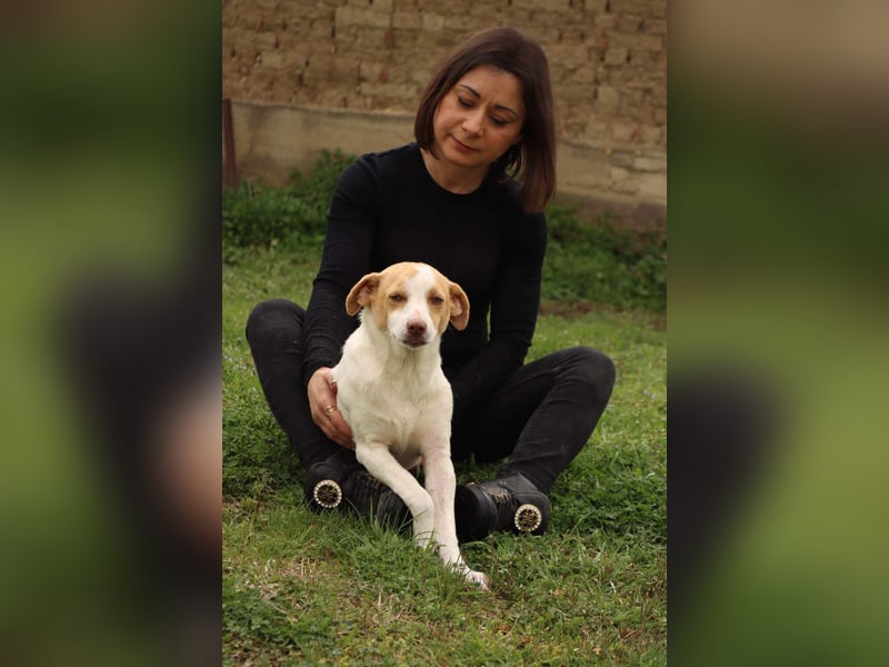 Jeimson sucht Liebe und Geborgenheit!