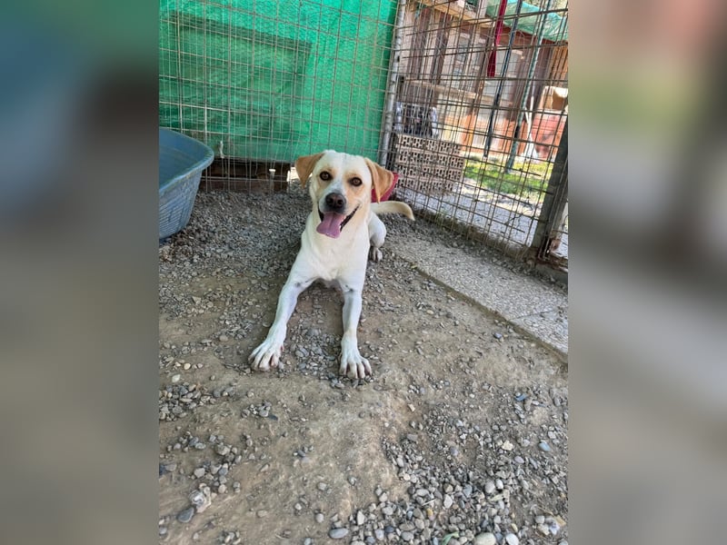 Zuhause verloren – Hoffnung gesucht: Argo