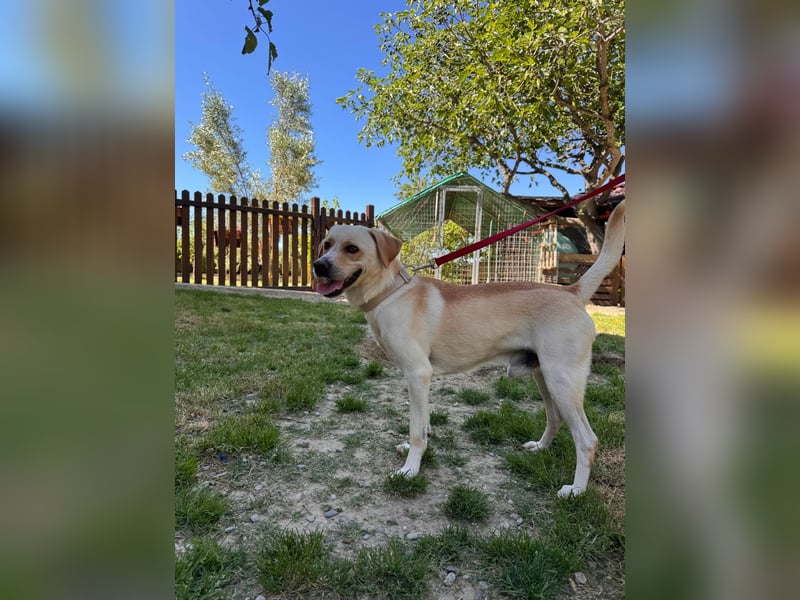 Zuhause verloren – Hoffnung gesucht: Argo