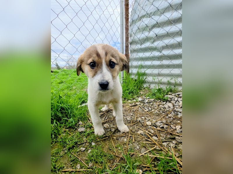 Bane ist bereit für Abenteuer