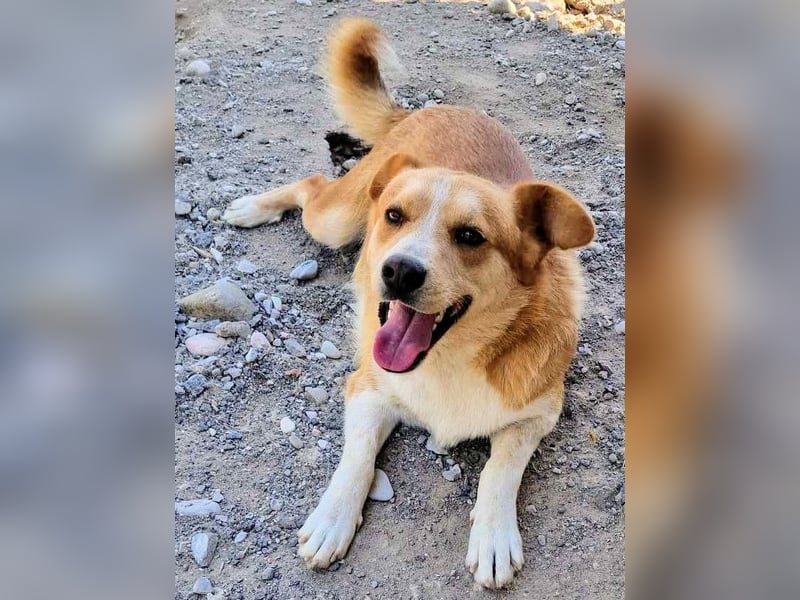 Stratos hatte noch nie ein Zuhause