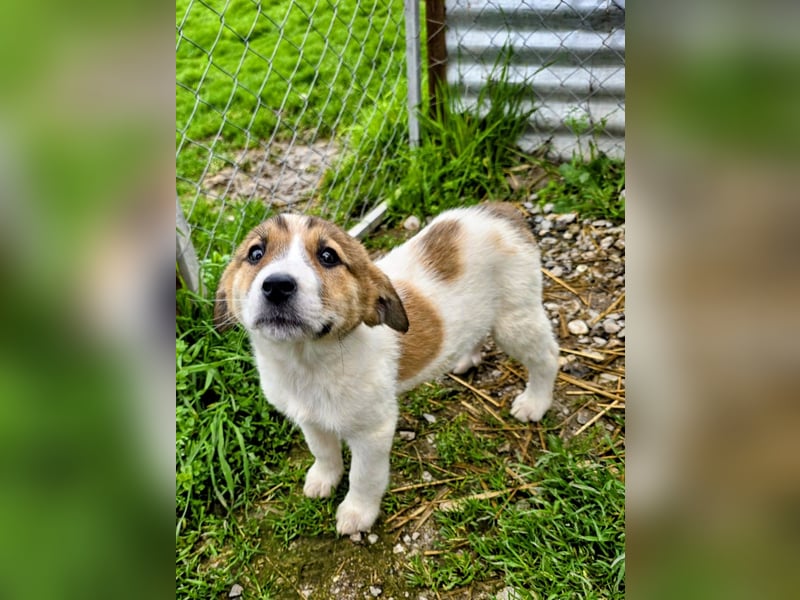 Bane ist bereit für Abenteuer