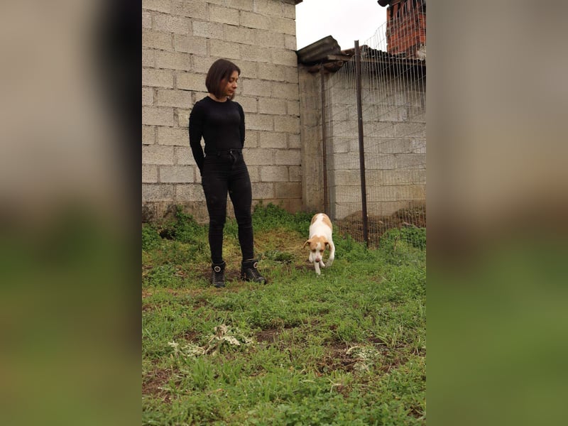 Jeimson sucht Liebe und Geborgenheit!