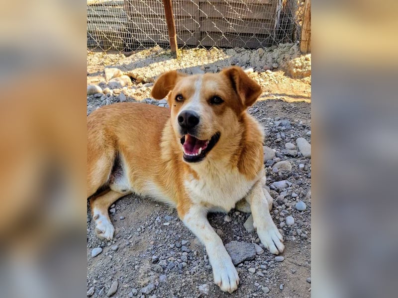 Stratos hatte noch nie ein Zuhause