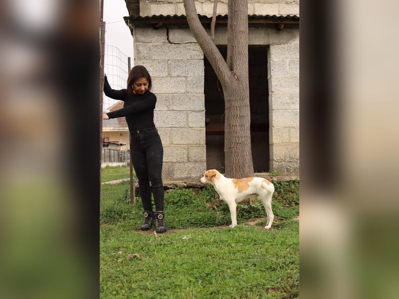 Jeimson sucht Liebe und Geborgenheit!