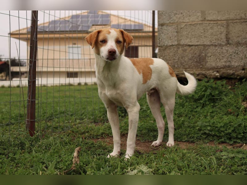 Jeimson sucht Liebe und Geborgenheit!