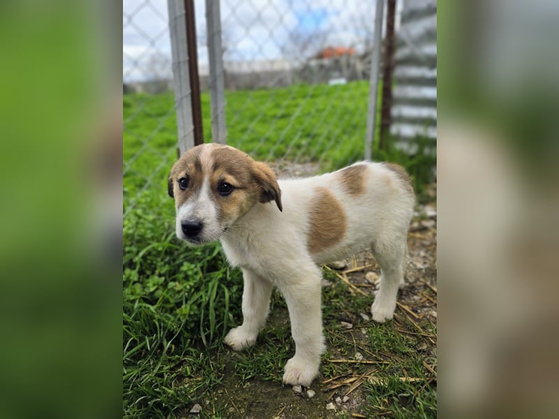 Bane ist bereit für Abenteuer