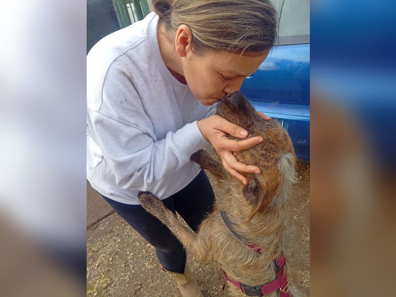 Lucky – verschmuster Herzenshund sucht endlich seine Menschen