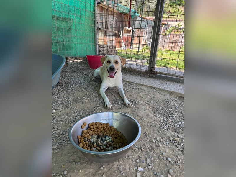 Zuhause verloren – Hoffnung gesucht: Argo