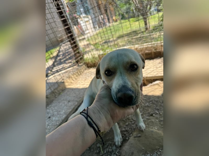 Zuhause verloren – Hoffnung gesucht: Argo