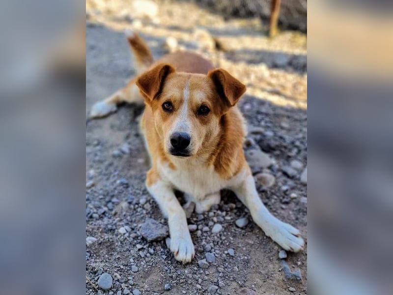 Stratos hatte noch nie ein Zuhause