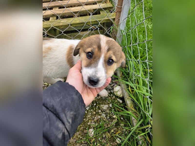 Bane ist bereit für Abenteuer