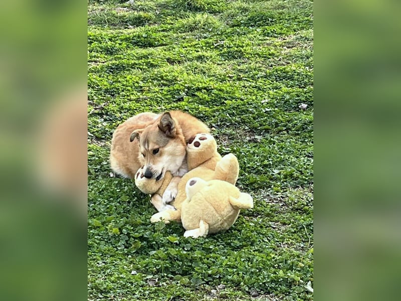 Jilda wünscht sich ihre eigene Familie