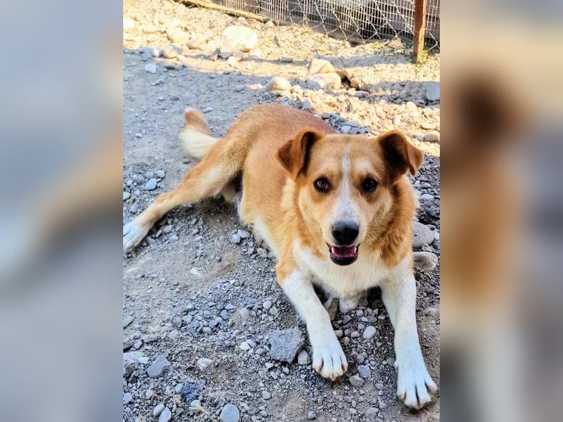 Stratos hatte noch nie ein Zuhause