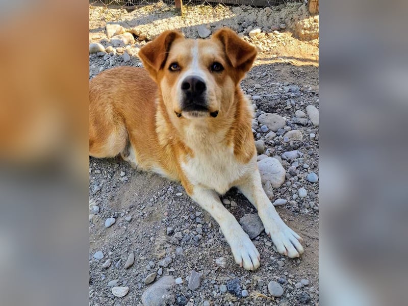 Stratos hatte noch nie ein Zuhause