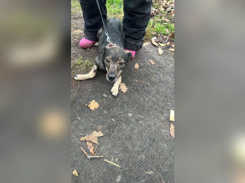 Gigi sucht ihre Herzensmenschen