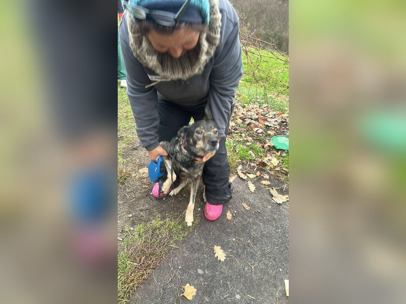 Gigi sucht ihre Herzensmenschen