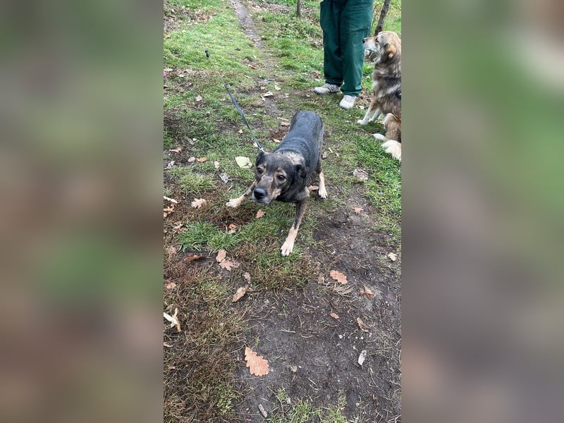 Gigi sucht ihre Herzensmenschen