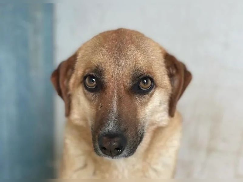 Gina