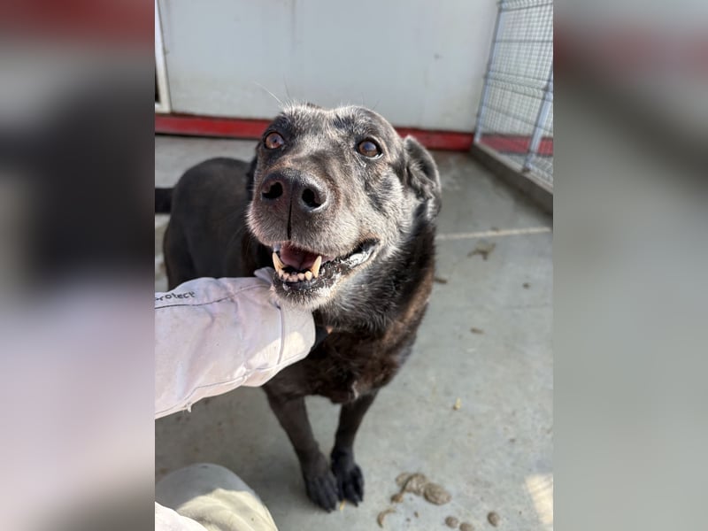 Groh sucht Zuhause mit Freundin Lucky