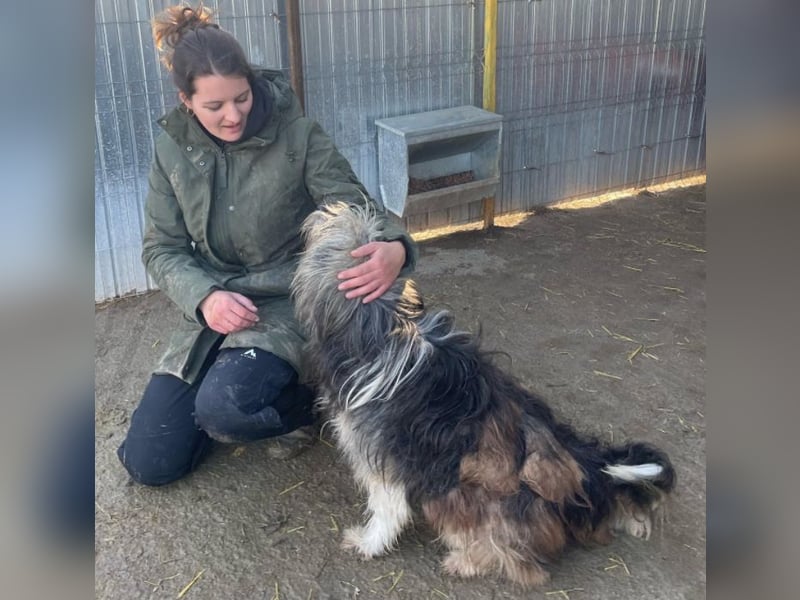 Izzy - fröhlicher Flummi