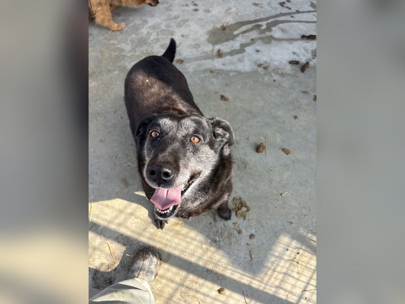 Groh sucht Zuhause mit Freundin Lucky