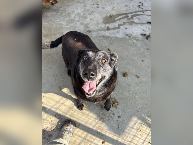 Groh sucht Zuhause mit Freundin Lucky