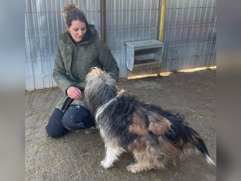 Izzy - fröhlicher Flummi