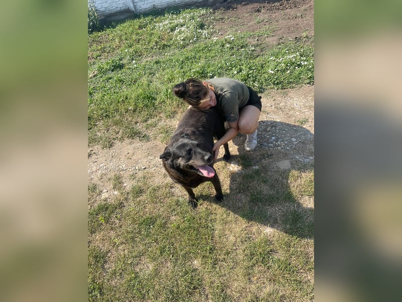 Groh sucht Zuhause mit Freundin Lucky