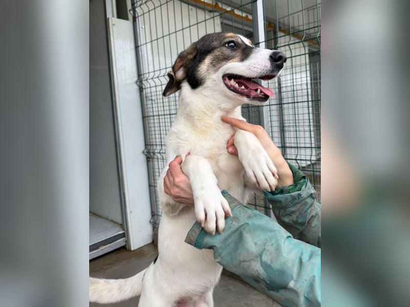 Jampa - lieber, freundlicher Bub!