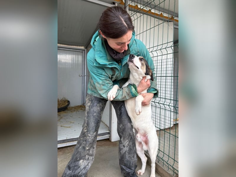 Jampa - lieber, freundlicher Bub!