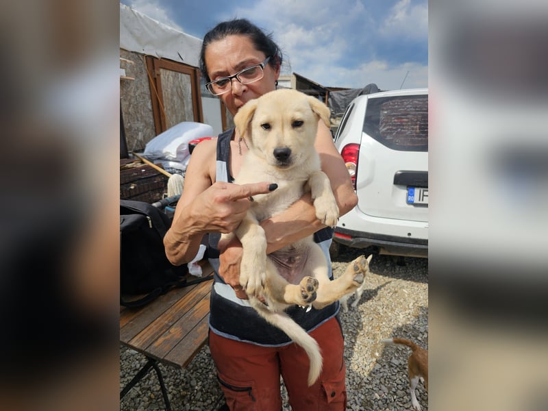 Kleiner Herzensbrecher Bailey sucht sein Zuhause