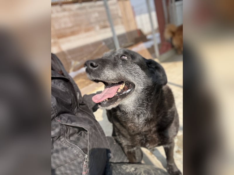 Groh sucht Zuhause mit Freundin Lucky