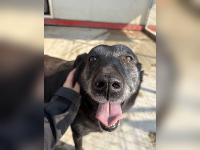 Groh sucht Zuhause mit Freundin Lucky