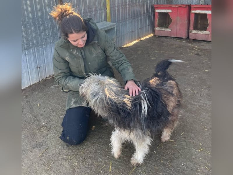 Izzy - fröhlicher Flummi