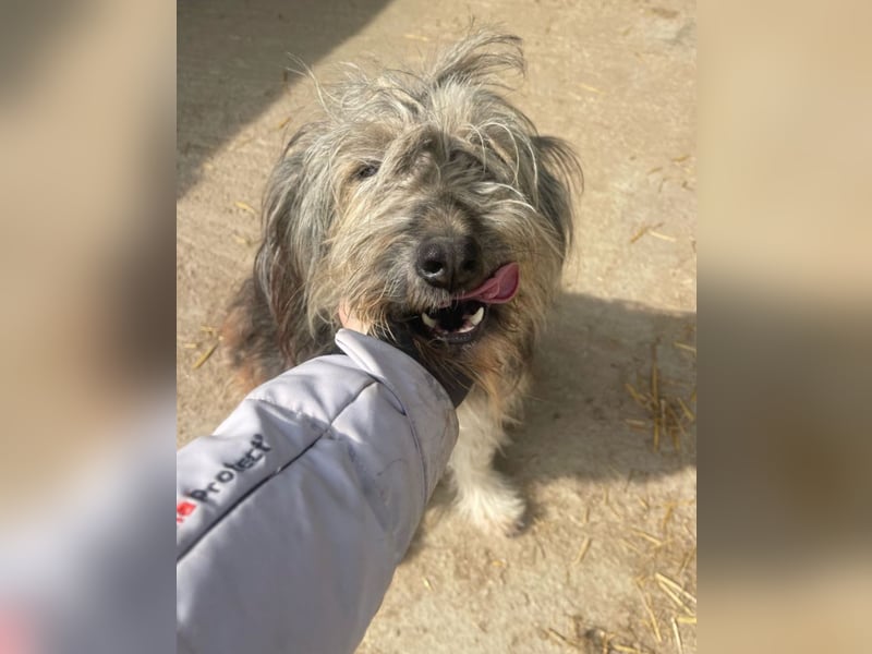 Izzy - fröhlicher Flummi