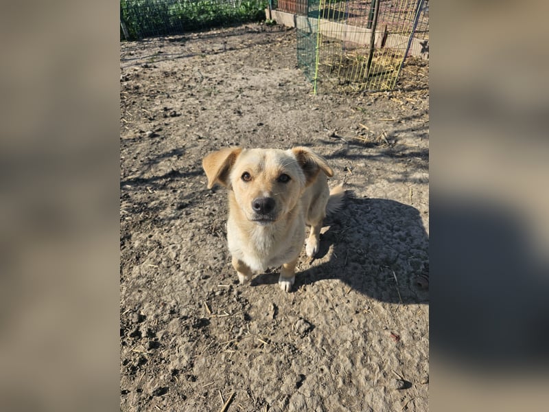Gute-Laune Paket Maddie