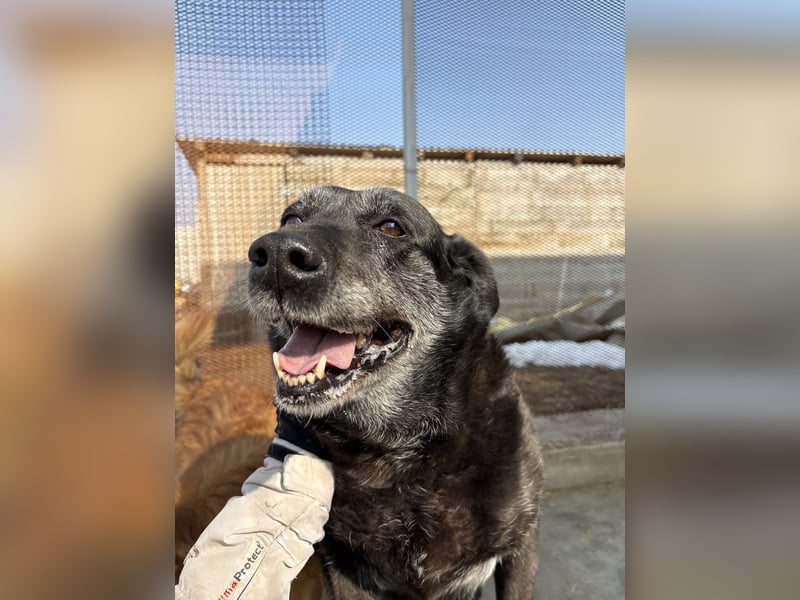 Groh sucht Zuhause mit Freundin Lucky