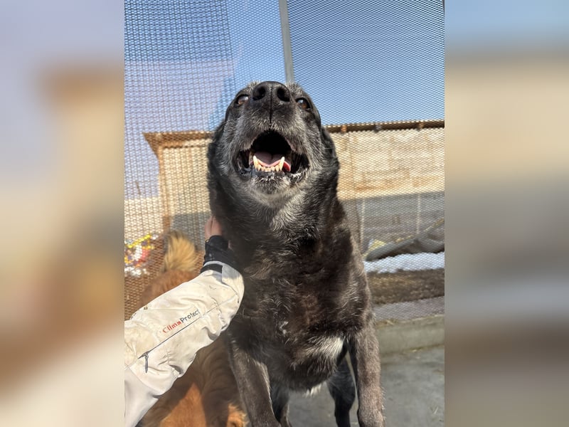 Groh sucht Zuhause mit Freundin Lucky