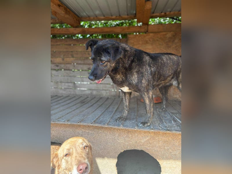 LOLA - Traumzuhause gesucht LOLA - Traumzuhause gesucht