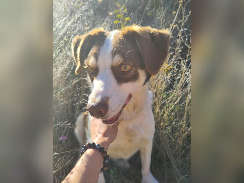 ELLA - eine tolle Freizeitpartnerin