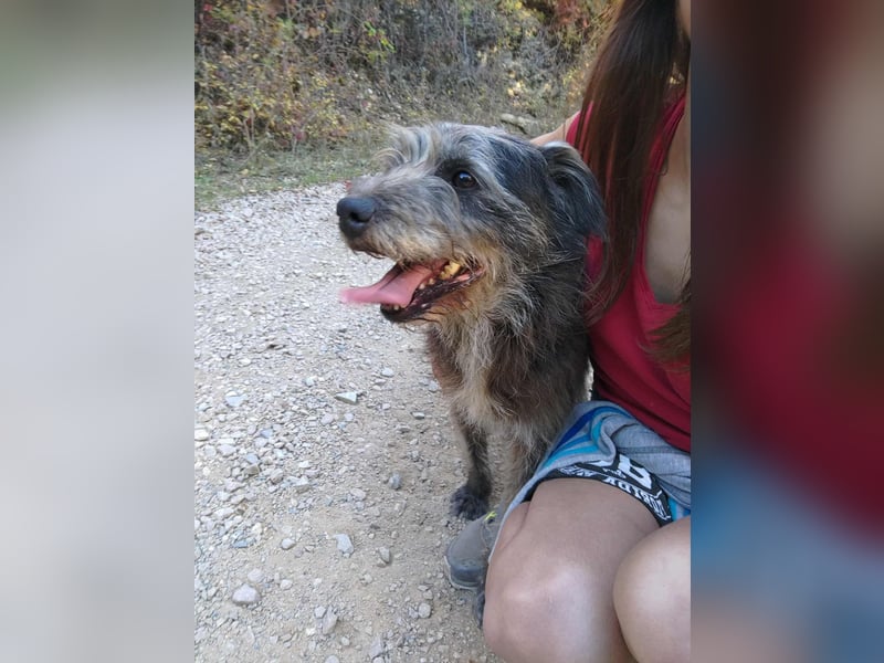 TOBY - auf der Suche nach Liebe