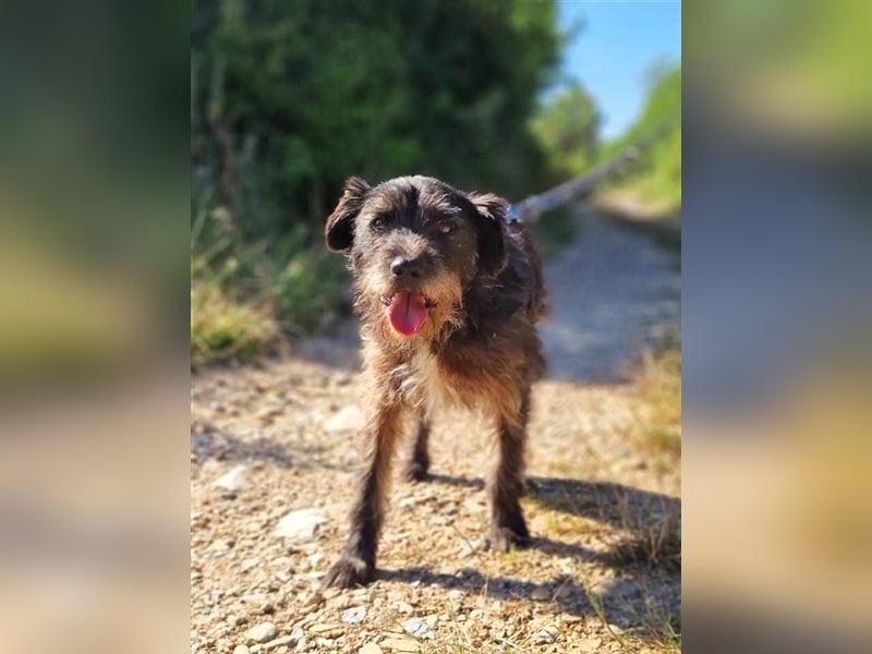 TOBY - auf der Suche nach Liebe