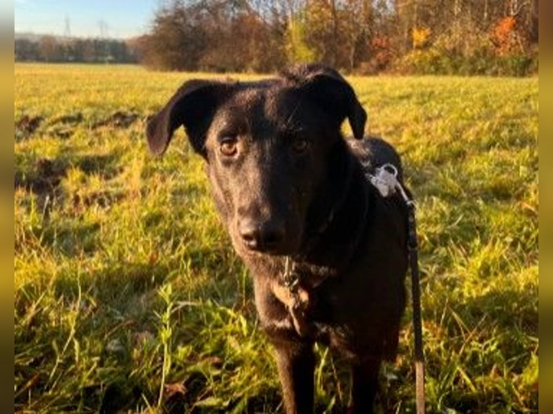 verschmuster, sanfter und lieber Coro