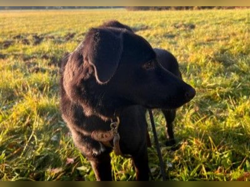 verschmuster, sanfter und lieber Coro